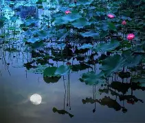 王楚钦第31轮再次进行球迷热议(王楚钦第31轮再次进行球迷热议比赛)|CQ9捕鱼官方入口